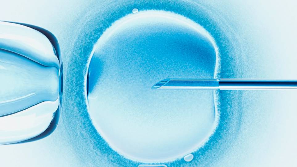 درمان ناباروری به روش IVF یا لقاح خارج از رحم